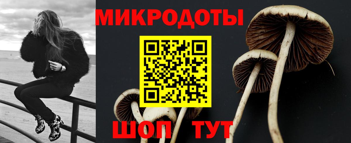 Псилоцибиновые грибы GOLDEN TEACHER  Псилоцибиновые грибы Cubensis  Вход с VPN  Волжский 