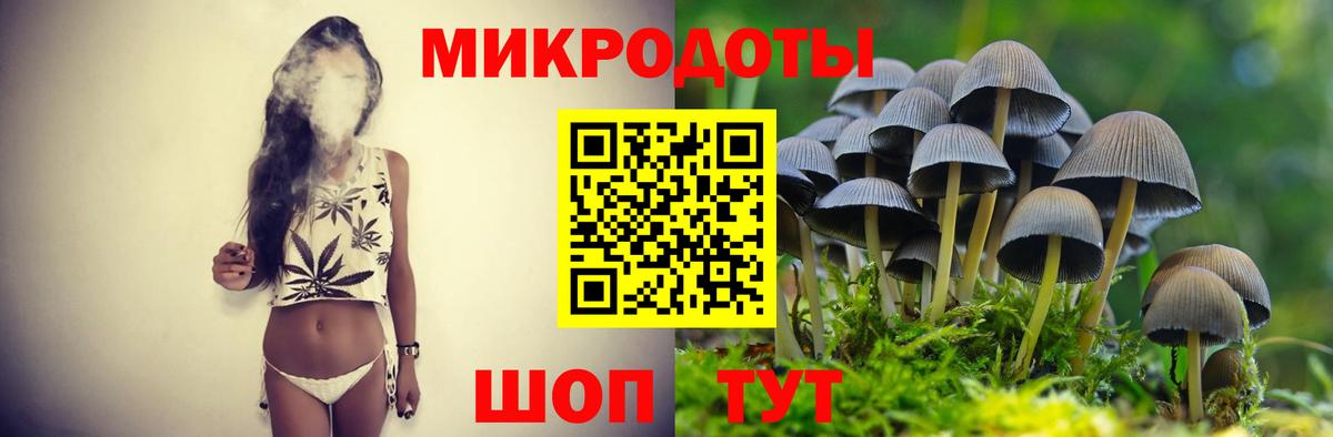 Галлюциногенные грибы Psilocybe Волжский